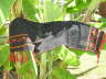 Schal 145x44